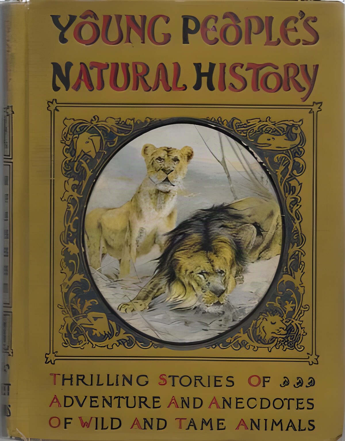Young People's Natural Historyby: Johnson, Isaac Thornre (ed.)