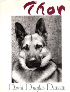 Collection of photos of the famous photographer's German shepherd.