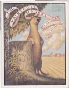 A misfit weasel fall for a fish na,med Bridget. The story explores themes of love, friendship, and the challenges of being different.